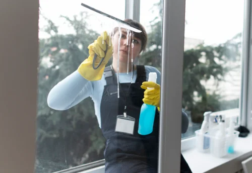 Nettoyage de vitres intérieures et extérieures à Loivre